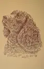 American Water Spaniel Dog Art Word Drawing 40 Kline Draws Dogs Name Free. GIFT