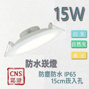 【亮博士】2入 LED防水崁燈 15W 高光效 15公分 崁入孔(IP65 護眼認證 CNS認證)