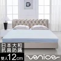 在飛比找PChome24h購物優惠-Venice 抗菌+防蹣+釋壓12cm記憶床墊-雙人5尺