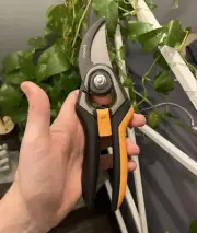 Fiskars Bypass Pruning Shears Softgrip Pruner Replaceable Blade Garden Scissors