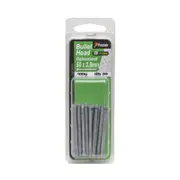 Paslode 50 x 2.8mm 100g Galvanised Bullet Head Nails - 30 Pack