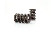 COMP Cams Valve Spring Race Extreme 1.640 in. OD Dual 2.050 in. Installed Height Set of 16