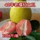 【四季老欉麻豆文旦果園】40年老欉麻豆紅文旦(20台斤/箱)