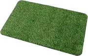 NUSITOU 1pc Door Mat Outdoor Artificial Grass Home Decor Outfoor Rugs Outside Rug Front Door Rug Outdoor Artificial Grass Mat Square Outdoor Rug Indoor Area Rug Decorative Lawn Mat Pe