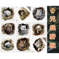 在飛比找蝦皮購物優惠-【台灣現貨壁貼】| 野獸動物－狐狸 老虎 動物貼紙 貓頭鷹貼