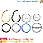 Hinged Clicker Nose Lip Ring Hoop Tragus Twisted Sleeper Surgical Steel Piercing