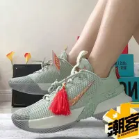 在飛比找蝦皮購物優惠-韓國代購NK LeBron Ambassador 13 詹姆