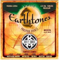 在飛比找momo購物網優惠-【Kerly】Earthtones 12 - 54 磷青銅木