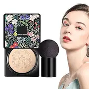 Air Cushion Bb Cream Foundation | Moisture Oil-Control Makeup Cosmetics Bb Cream,Moisturizing Air Cushion, Long Lasting Foundation, Air Cushion Cream Cover Concealer, Moisturising Brightening Liquid F