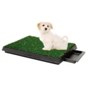 Paws & Claws Portable Indoor Training Dog/Puppy/Pet 63cm Potty Grass w/ Tray