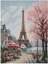 Paris in Spring Landscape CROS Stitch Kits,14count, Blank aida Fabric, 200x250 Stitch 26x44 cm Cotton Cross Stitch Kits