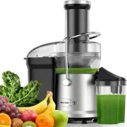 Juicer Machine for Fruits and Vegetables - 1200W, Dual Speeds, 3-Inch Feed Chute