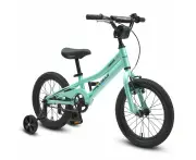 Progear DuraLite 16" Bike in Mint