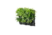 Maze Three Tier Vertical Garden (9 pots)