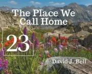 23: The Place We Call Home by Dave Bell Hardcover Book