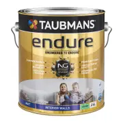 Taubmans 4L Accent Matt Endure Interior Wall Paint