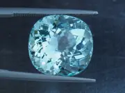 Aquamarine Classic Cushion Cut 14.40 (ct)