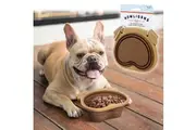 Collapsible Dog Bowl - Fred Howligans Portable & Durable Silicone