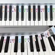 61 Key Full Size Piano Rake Key, Colorful Piano Keyboard Notes for Beginner