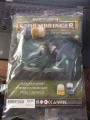 Warhammer Age of Sigmar Stormbringer 22
