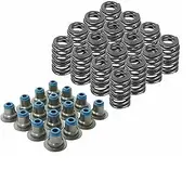 Lskioer Beehive Valve Springs Kit, 560" Lift Bee Hive Valve Spring Combinations with Hat Seals For 1997+ Chevy Gen III IV LS Engines (4.8L, 5.3L, 5.7L, 6.0L, 6.2L & 7.0L), Set of 16