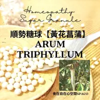 在飛比找蝦皮購物優惠-順勢糖球【黃花菖蒲●Arum Triphyllum】Home