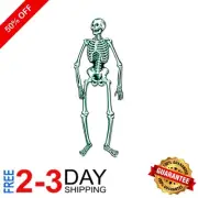 Poseable Jointed Skeleton Cutout Decoration for Halloween Parties - 55"