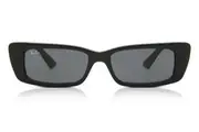 Ray-Ban RB4425 Teru 667787 Unisex Sunglasses
