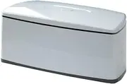 Nail Tools Sterilizer, Double Tube Blue Light Sterilization Function, USB Plug-In, 1l Large Capacity For Nail And Beauty Salon Tools, Jewellery, Glasses, Mobile Phone Sterilization (White)