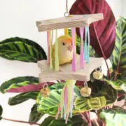 Bird Swing Toy Budgie Hanging Swing Stand for Cockatiel Parakeet Hamster