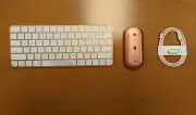 Apple Magic Mouse & Magic Keyboard with Touch ID - Orange