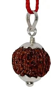 [Divya Shakti] Twelve Face / 12 mukhi Nepali Rudraksha Silver Pendant For Men and Women (20 M.M)