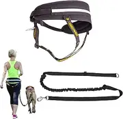 Dingo Hands Free Leash and Belt for Walking and Running with Dog, Bungee Training Leash, o-Ring Z30004