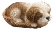 Money Box Statue Ornament Figurine - Sleeping Poodle in a Wicker Basket