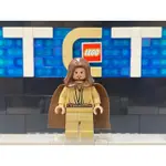 【TCT】樂高 LEGO STAR WARS 星戰系列 星際大戰 人偶 7665 SW0172A