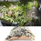 5PCS Natural Wood Reptile Climbing Bark Light Weight Tree Bark Cork Lizard