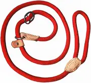 Adjustable Nylon Dog Pet Rope Products Slip Pet Dog Whisperer Cesar Slip Training Leash Lead Collar, 4-Feet (Red)