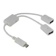 21Cm 2 In 1 Usb-C / Type-C 3.1 To Usb 2.0 Data Cable