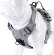 JUXZH Truelove Soft Front Dog Harness .Reflective X-Small (Pack of 1), Gray