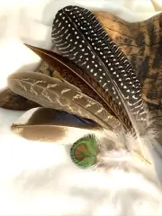 5pcs Natural Pheasant Duck Peacock Feathers 7-17cm DIY Art Craft Millinery