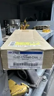 Ford 1L2Z-17K946-CAA Grille (b21)