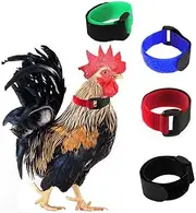 Minelife 4 Pack No Crow Rooster Collar, Chicken Collar Anti-Hook Noise Free Neckband No Crow Noise Neck Belt for Roosters - Prevent Chickens from Screaming, Disturbing Neighbors