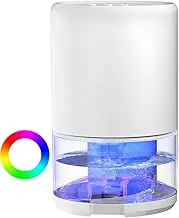 Dehumidifier, 1000ML Dehumidifiers for Home, 280 sq ft Portable Ultra Quiet Small Dehumidifiers with 7 LED Lights, Against Moisture Mold, 2 Mode Auto Shut Off, Bedroom Basement Closet Garage