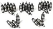 DNJ LFK24411 Valve Lifter Kit for 1995-2012 Ford, Jaguar, Lincoln, Mazda, Mercury 6, Contour, Cougar 2.5L-3.0L V6 24V DOHC 152cid