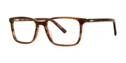 Elliott Ives Sequoia Honey Tort Men's Glasses Tortoiseshell Size 51 - Private Health Rebate - Blue Light Block Available