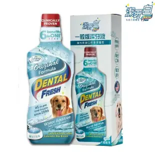 【美國潔牙白Dental Fresh】一般版潔牙液 503ml*4入組(寵物潔牙)