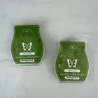 Scentsy Wax Bars Fiddle Leaf Fig 3.2 Fl Oz Melts Warmer New Lot Of 2 Sold Out