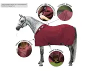 Schneiders Adjusta-Fit Dura-Nylon Original Cutback Closed Front Stable Sheet 84
