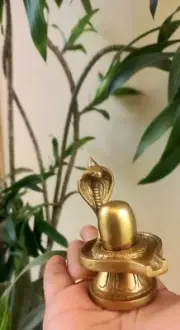 Auspicious Heavy 3" Brass Shivling Naag Statue Home Temple Home Decor Nag Gift