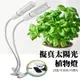 植物燈 led植物燈 USB LED 植物補光 雙頭燈泡 led 植物燈 定時開關 夾子 植物生長燈